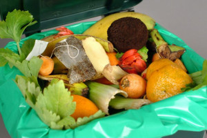 Ministerstwo Środowiska rusza z nową kampanią o segregacji odpadów