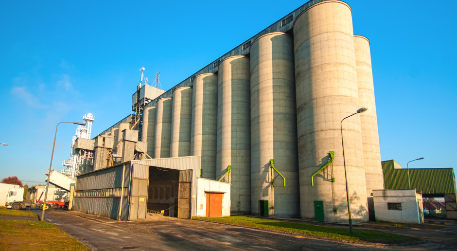 IGC: Wzrost prognozy światowej produkcji zbóż ogółem