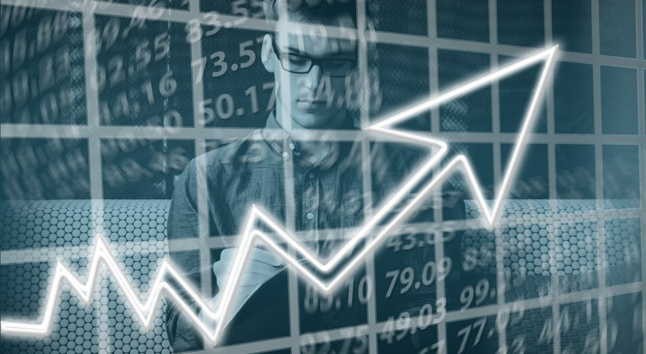 Fot.pixabay.com Rabobank o globalnej sytuacji dotyczącej białka zwierzęcego
