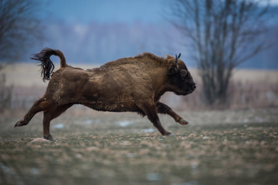 fot. shutterstock