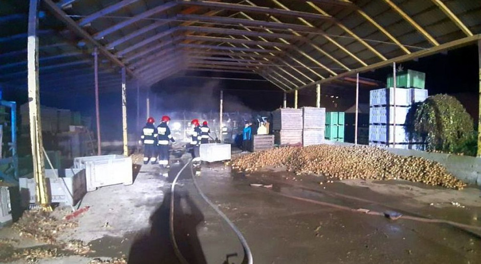 Jeden dudynek spłonął w całości, drugi w połowie, Foto: KP PSP Nowy Tomyśl Gospodarstwo w ogniu – spłonęły dawne pieczarkarnie