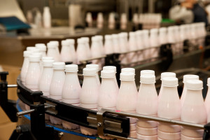 Rekordowy wzrost notowań produktów mleczarskich