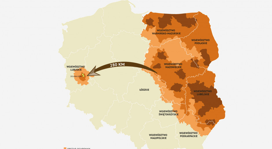 fot. PTWP Wyznaczono strefy ASF na zachodzie Polski