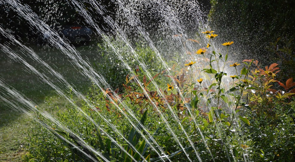 fot. Pixabay Nawadniać z PROW chce 18 rolników