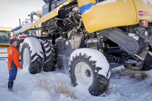 "Żniwa z piekła rodem" ponad 1 mln hektarów rzepaku w Kanadzie pod śniegiem 