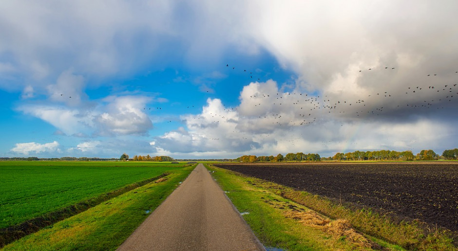 fot. Pixabay Międzyplon później wysiany z mniejszą karą