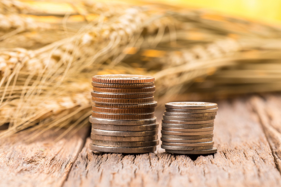 Ceny płodów rolnych wyznaczone na nowe zbiory są wyższe niż rok temu, fot. shutterstock