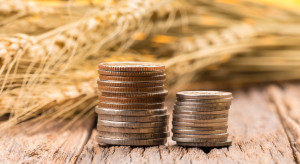 IZP: Rynek zbóż będzie reagował niewielkimi zwyżkami cen z powodu koronawirusa