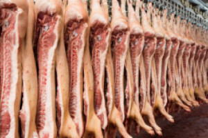 Chiny: Rekordowy import wieprzowiny