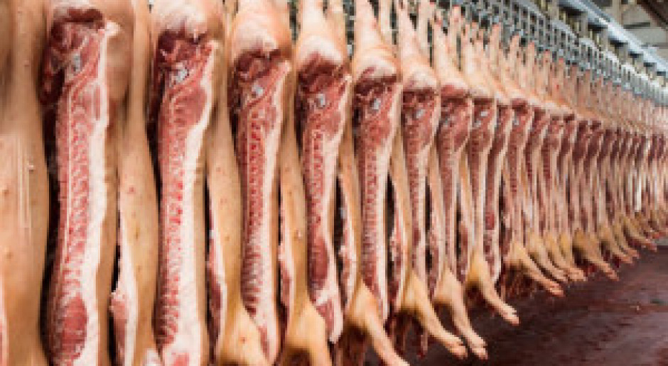 Fot. Shuttestock Chiny: Rekordowy import wieprzowiny