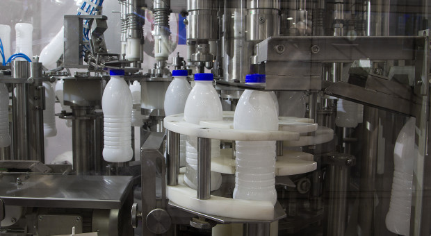 Cena mleka w skupie najwyższa od prawie roku