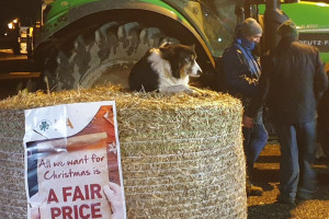 Kolejny protest rolników w Irlandii