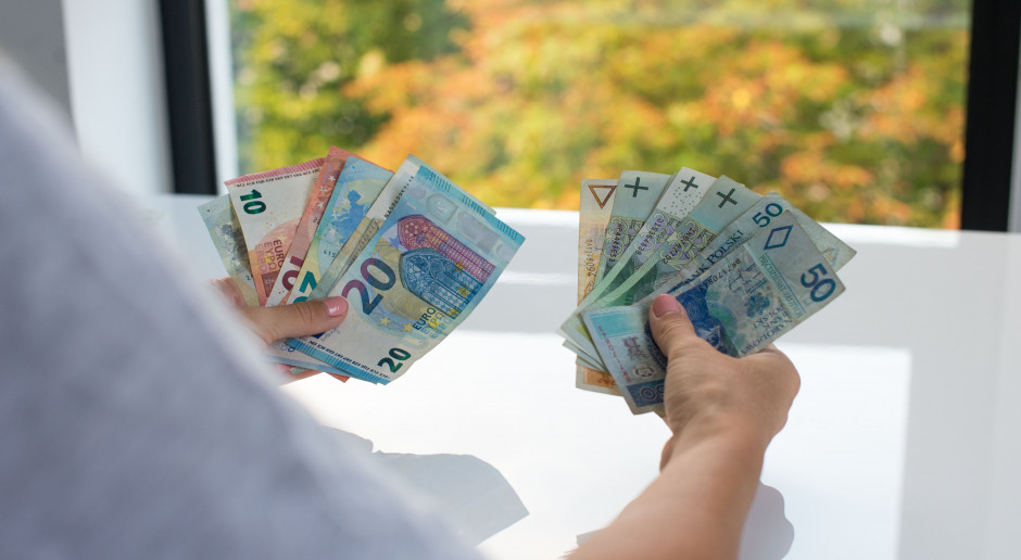 fot. Shutterstock Powolutku będą rosły dochody na wsi według rządowego programu rozwoju…
