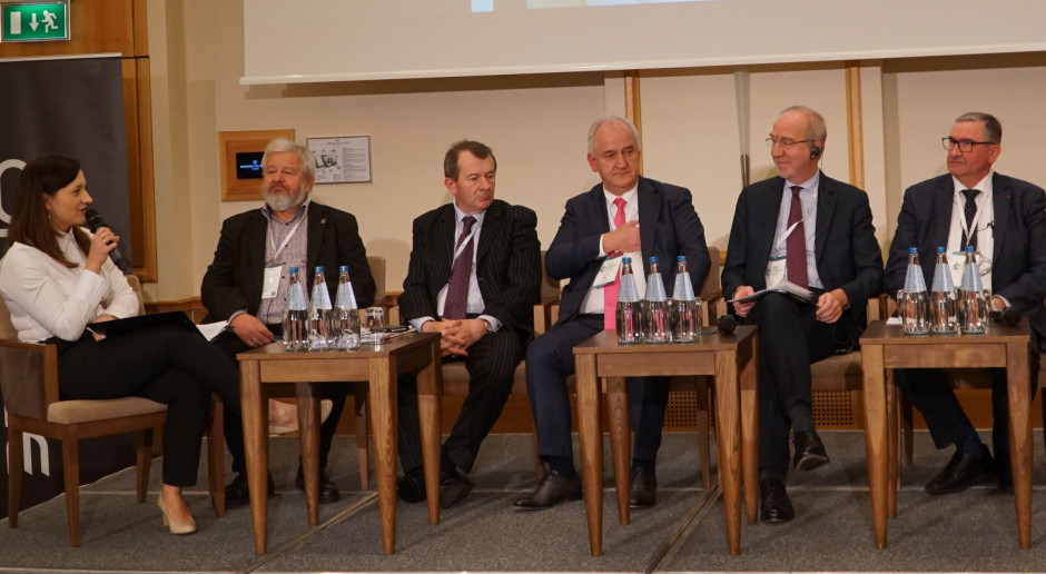 fot. PTWP UE skazana na Mercosur, tylko czy sektor wołowiny się obroni?