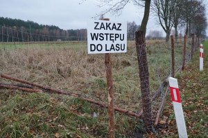 ASF: grodzenie Wielkopolski