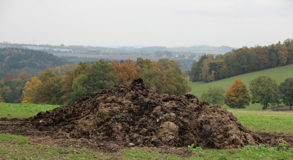 fot. Pixabay Nabór na inwestycje chroniące przed azotanami