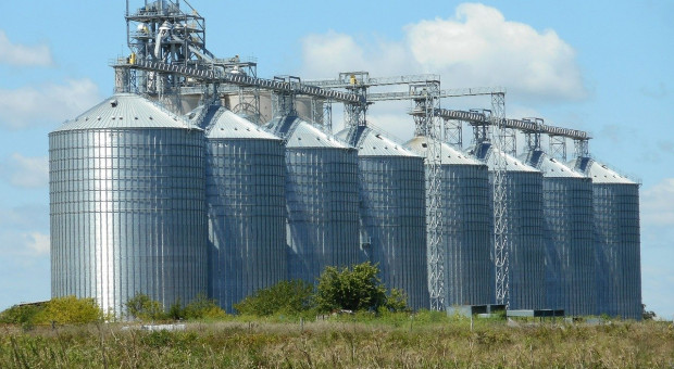 Giełdy krajowe: Ceny zbóż odbiły się po spadku 