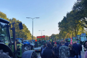 Nowa fala „azotowych” protestów w Holandii