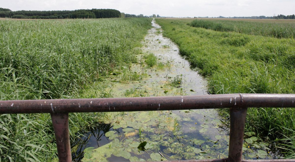 Fot. GT Melioracja przejdzie pod zarząd Wód Polskich. W przyszłym roku zmiana Prawa Wodnego