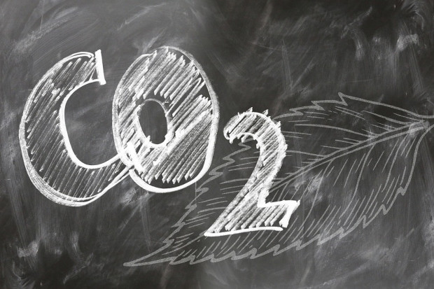 Holandia: Sąd zmusza rząd do większej redukcji CO2