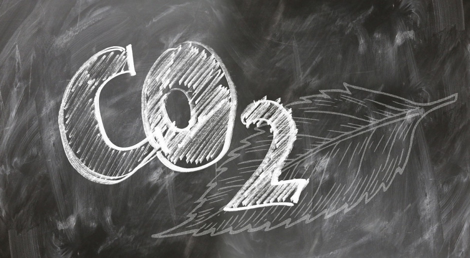 Fot.pixabay.com Holandia: Sąd zmusza rząd do większej redukcji CO2