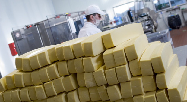 KOWR: Sery dominują w eksporcie produktów mleczarskich
