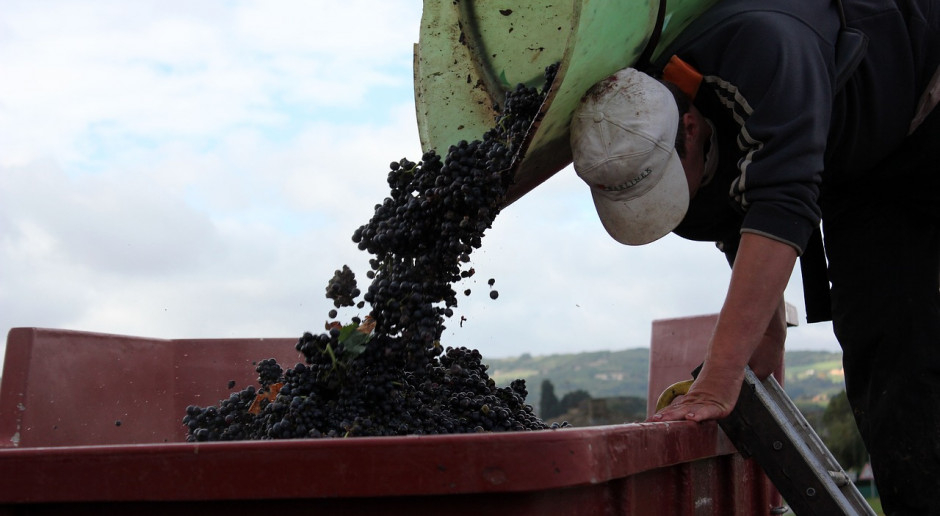 KOWR: Deklaracje dotyczące rynku wina