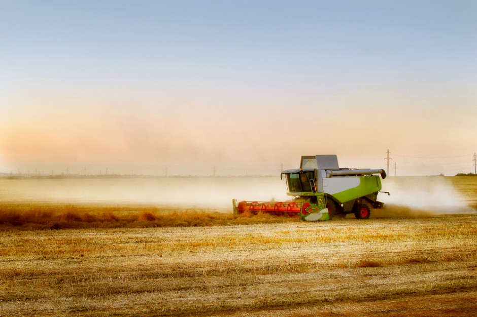 W Kazachstanie w tym roku spodziewane są zbiory zbóż na poziomie około 15,3 mln ton; Fot.Shutterstock