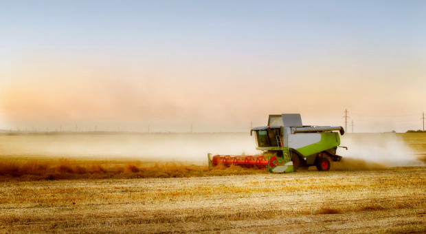 We wszystkich obwodach Ukrainy rozpoczęto zbiór zbóż