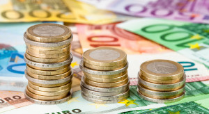 Dopłaty bezpośrednie będą większe niż rok temu? Kurs euro na to wskazuje!