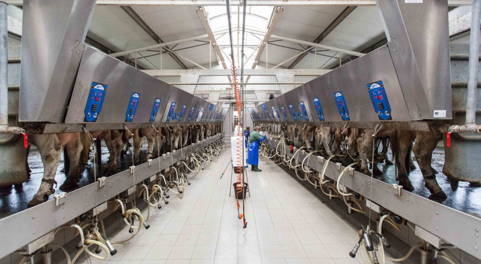 Wzrost dostaw mleka w UE w 2020 r. może negatywnie wpłynąć na ceny
