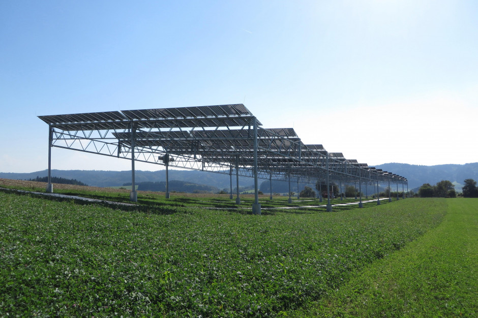 Agrofotowoltaika (APV) polega na połączeniu produkcji rolnej oraz wytwarzaniu energii elektrycznej na gruntach rolnych, Fot. Fraunhofer ISE