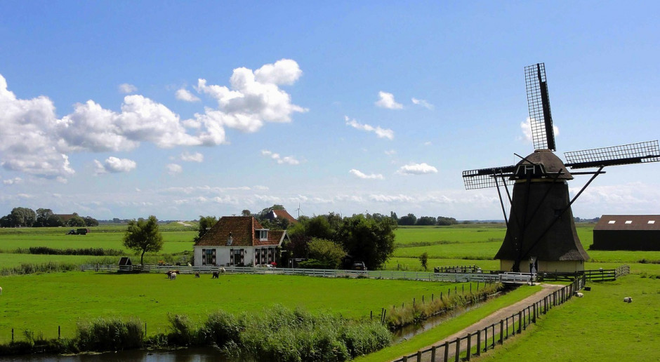 fot. Pixabay Niderlandy: Coraz więcej rolników emigruje