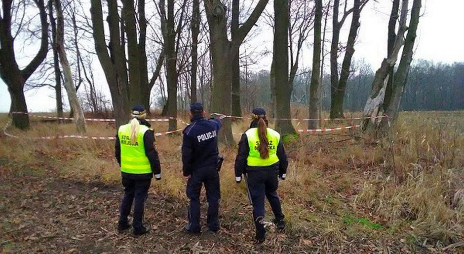 Policja szuka sprawcy, który naznosił padline na cudza ziemie, Foto: Straż Miejska Gliwice Ktoś urządził cmentarzysko zwierząt na cudzym polu