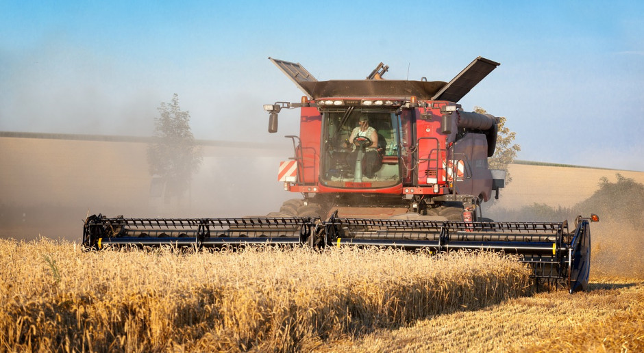 W 2019 roku na Białorusi zebrano 7,3 mln ton zbóż