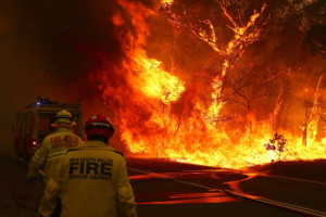 Australia: Pomoc dla rolników poszkodowanych w wyniku pożarów