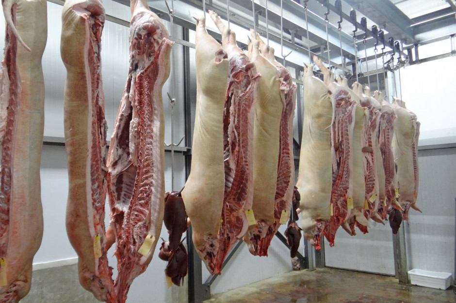 Według Destatis, największy udział w komercyjnej produkcji mięsa w Niemczech w pierwszej połowie 2020 roku stanowiła wieprzowina, która wyniosła około 65,7 proc.; Fot. Shutterstock