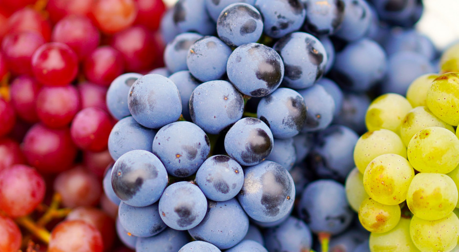 fot. Pixabay Wino to nie „małpka”, nie powinno być dodatkowo opodatkowane