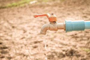Kosiniak-Kamysz: rząd nie ma przygotowanych planów działania na wypadek suszy