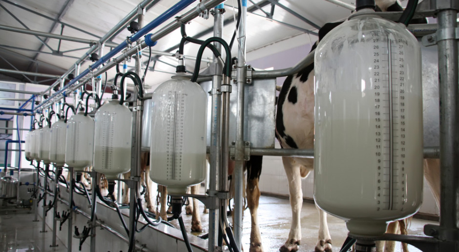 W grudniu wzrosła średnia cena płacona za mleko w UE