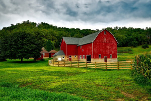 USA: Liczba bankructw gospodarstw rolnych wzrosła o 20 procent