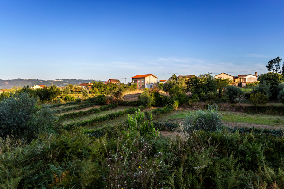 Portugalia, Fot. Shutterstock