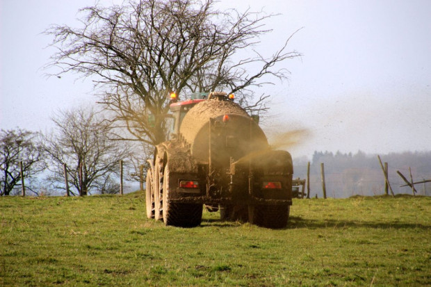 Dyrektywa azotanowa wymaga przystosowania do realiów klimatycznych - uwazaja rolnicy, Foto: Pixabay Nawożenie stosowne do potrzeb roślin, a nie przepisów dyrektywy azotanowej