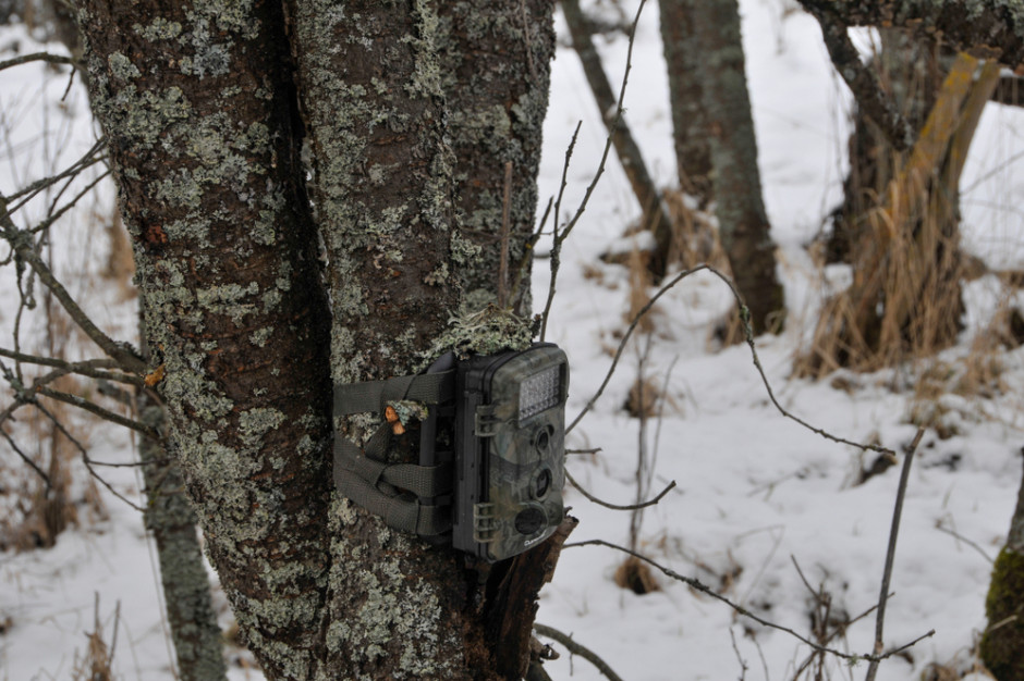 Skradziony z lasu aparat został odzyskany, fot. Shutterstock
