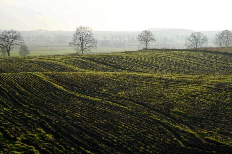 Rolnicze samorządy chcą mieć wpływ na zagospodarowanie terenów wiejskich, Fot. Pixabay