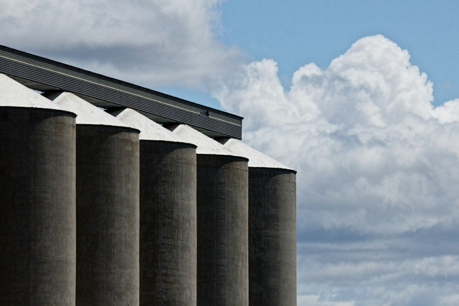 Na giełdach krajowych dominują wzrosty cen zbóż; Fot. Pixabay.com