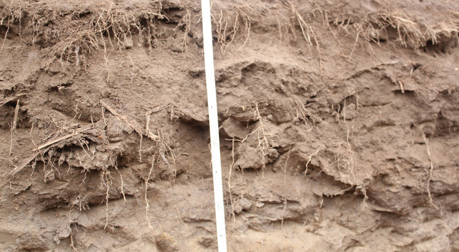 Jak zatrzymać wodę w glebie i ograniczyć efekty suszy?