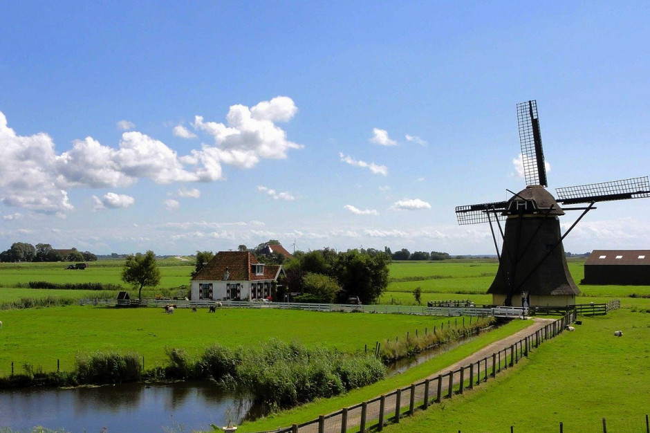 Rośnie zainteresowanie niderlandzkich rolników ubezpieczeniami; Fot. Pixabay.com