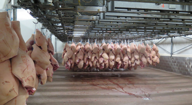 KRIR: podatek „od mięsa” szkodliwy dla gospodarstw i konsumentów