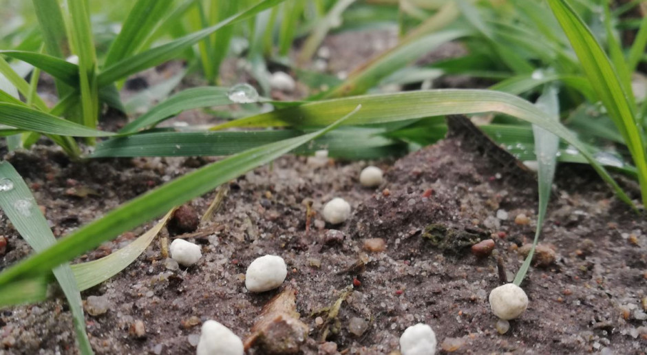 fot. farmer.pl Rolniku – czy masz dokumentację nawożenia azotem w gospodarstwie?